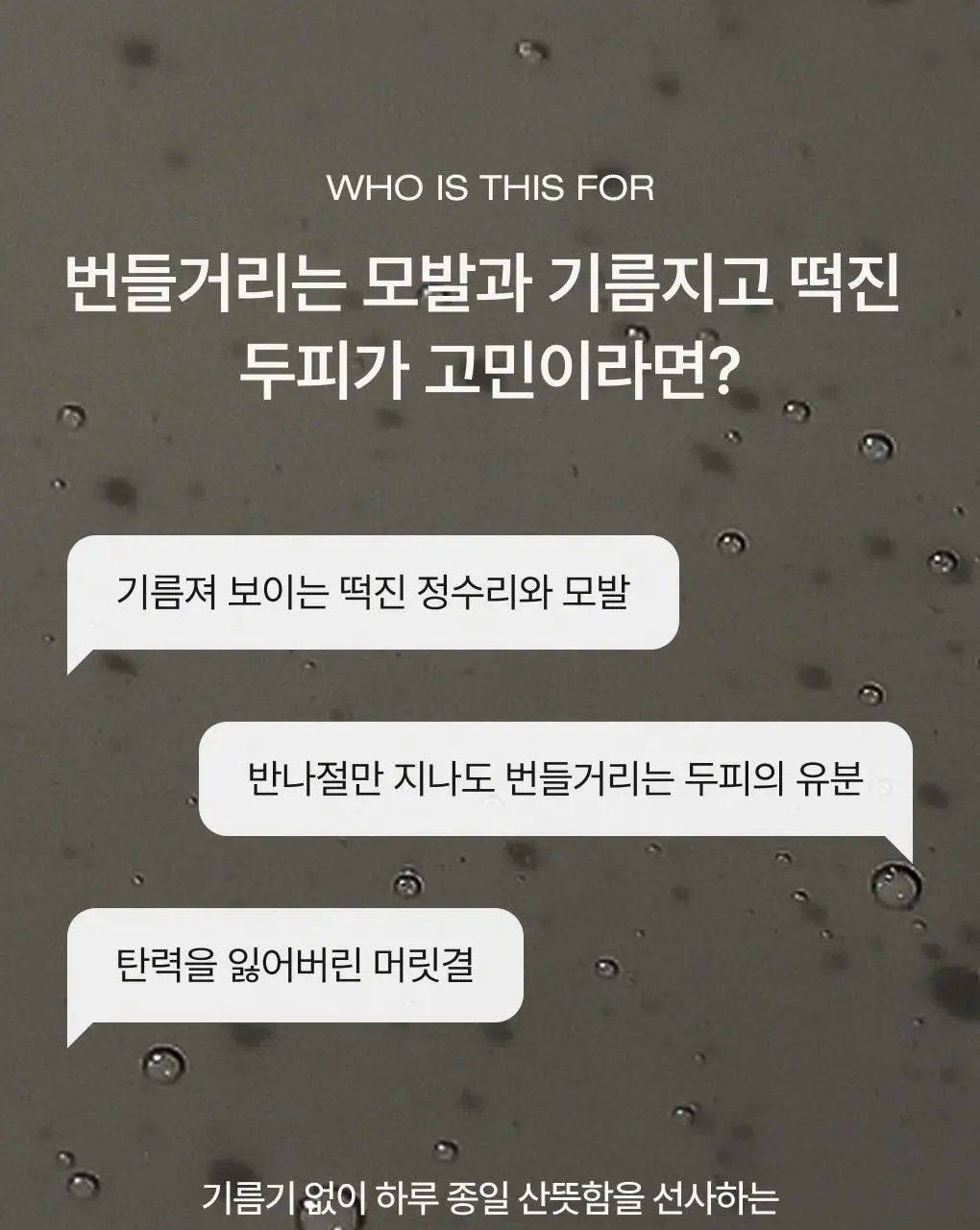 [성분천재/모발탄력] 청미정 흑곡 샴푸 500ml (단품/기획) 상세페이지 16